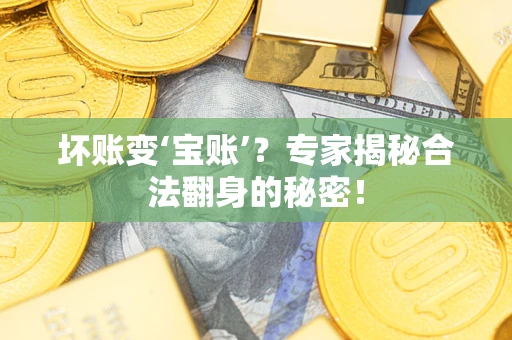 武汉坏账变‘宝账’？专家揭秘合法翻身的秘密！