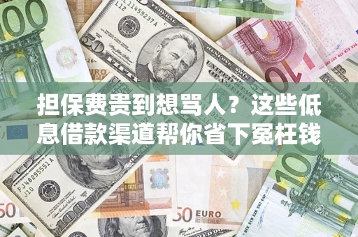 武汉担保费贵到想骂人？这些低息借款渠道帮你省下冤枉钱