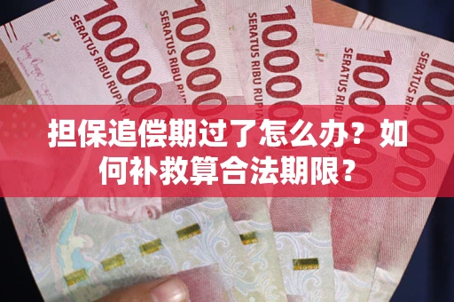 武汉担保追偿期过了怎么办？如何补救算合法期限？