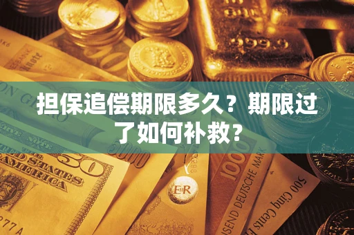 武汉担保追偿期限多久？期限过了如何补救？