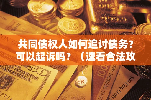 武汉共同债权人如何追讨债务？可以起诉吗？（速看合法攻略）
