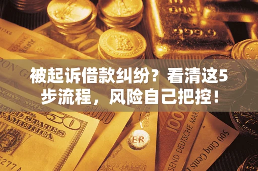 武汉被起诉借款纠纷？看清这5步流程，风险自己把控！